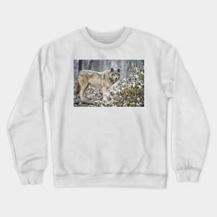 Gray Wolf Crewneck Sweatshirt